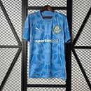 Camisa Goleiro Palmeiras 25/26