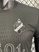 Camisa AIK 24/25  - Versão Jogador
